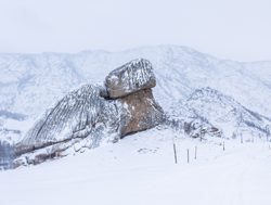 20211002174221 Turtle rock in snow Mongolia national parks